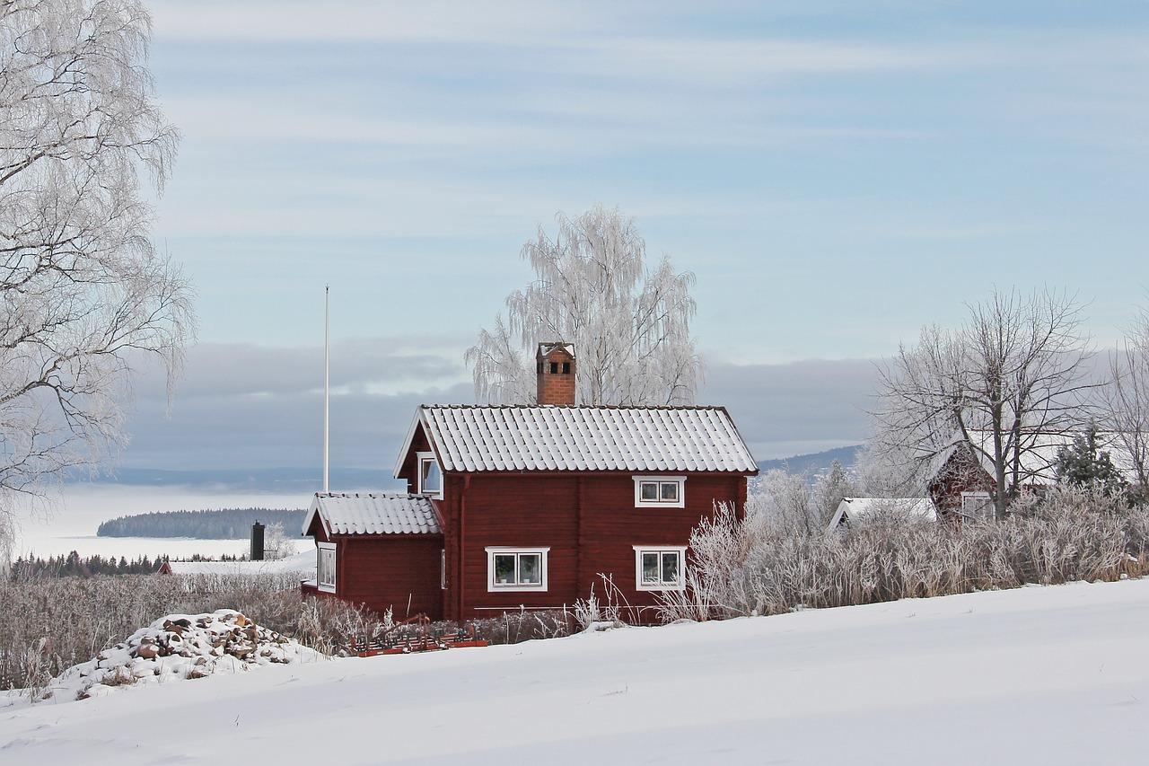 all white cover snow free photo