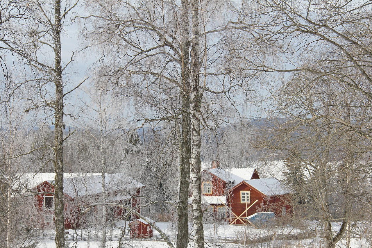 all white cover snow free photo