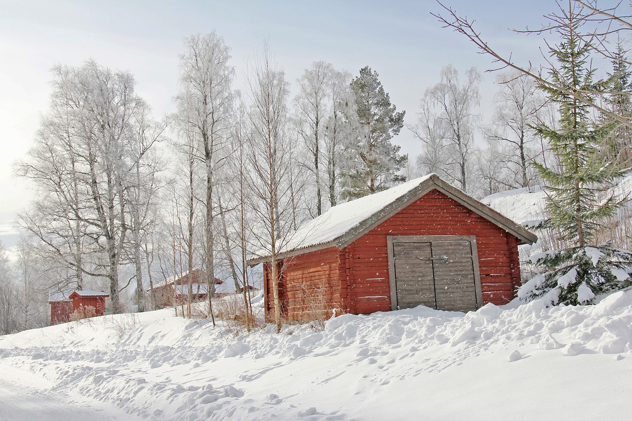 all white cover snow free photo