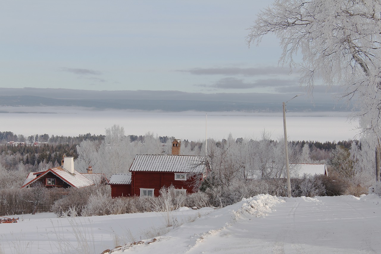 all white cover snow free photo