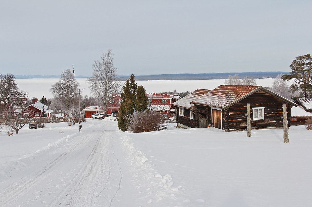 all white cover snow free photo