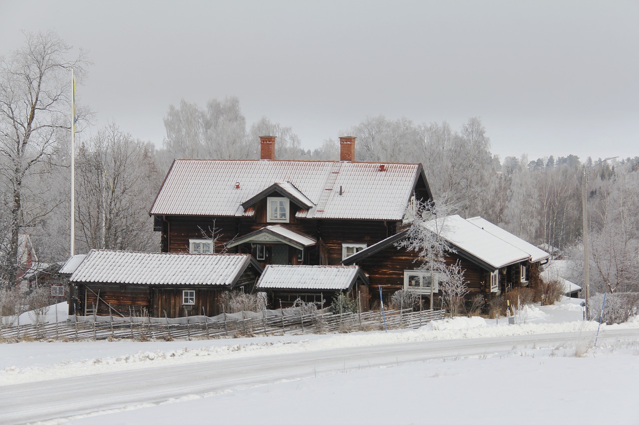 all white cover snow free photo