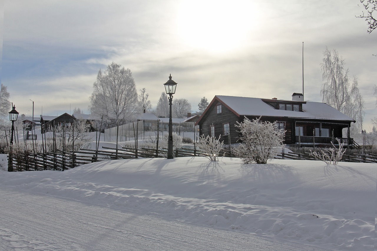 all white cover snow free photo