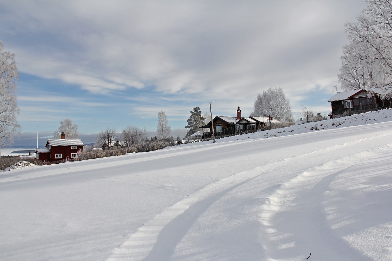 all white cover snow free photo