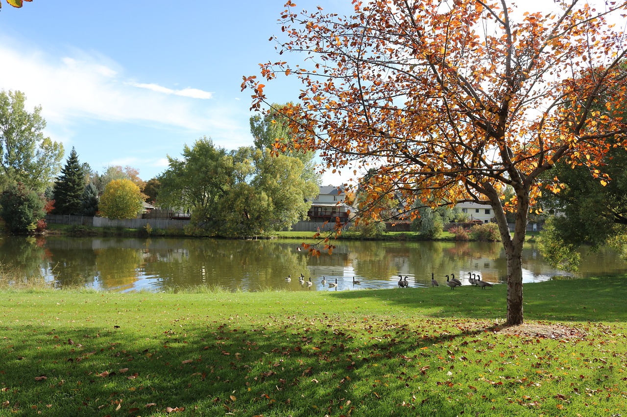 allen park greeley colorado free photo