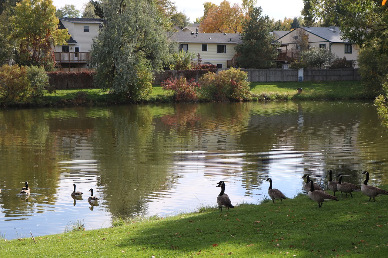 allen park greeley colorado free photo