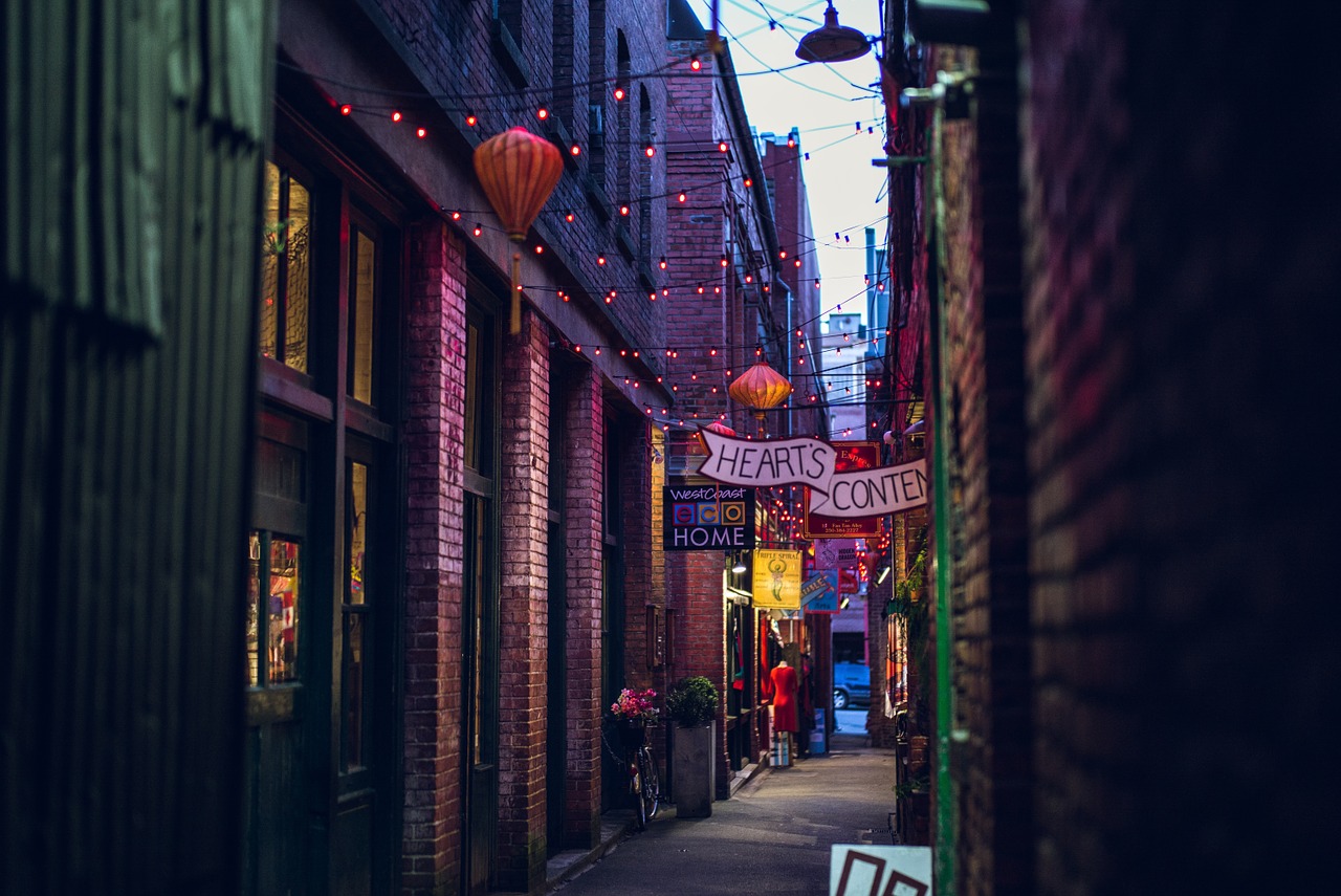 alley urban storefronts free photo