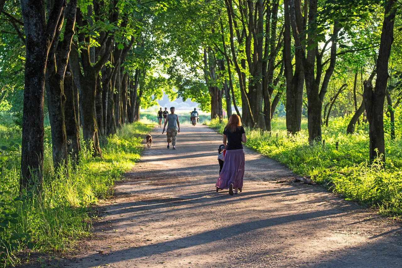 alley basswood river free photo