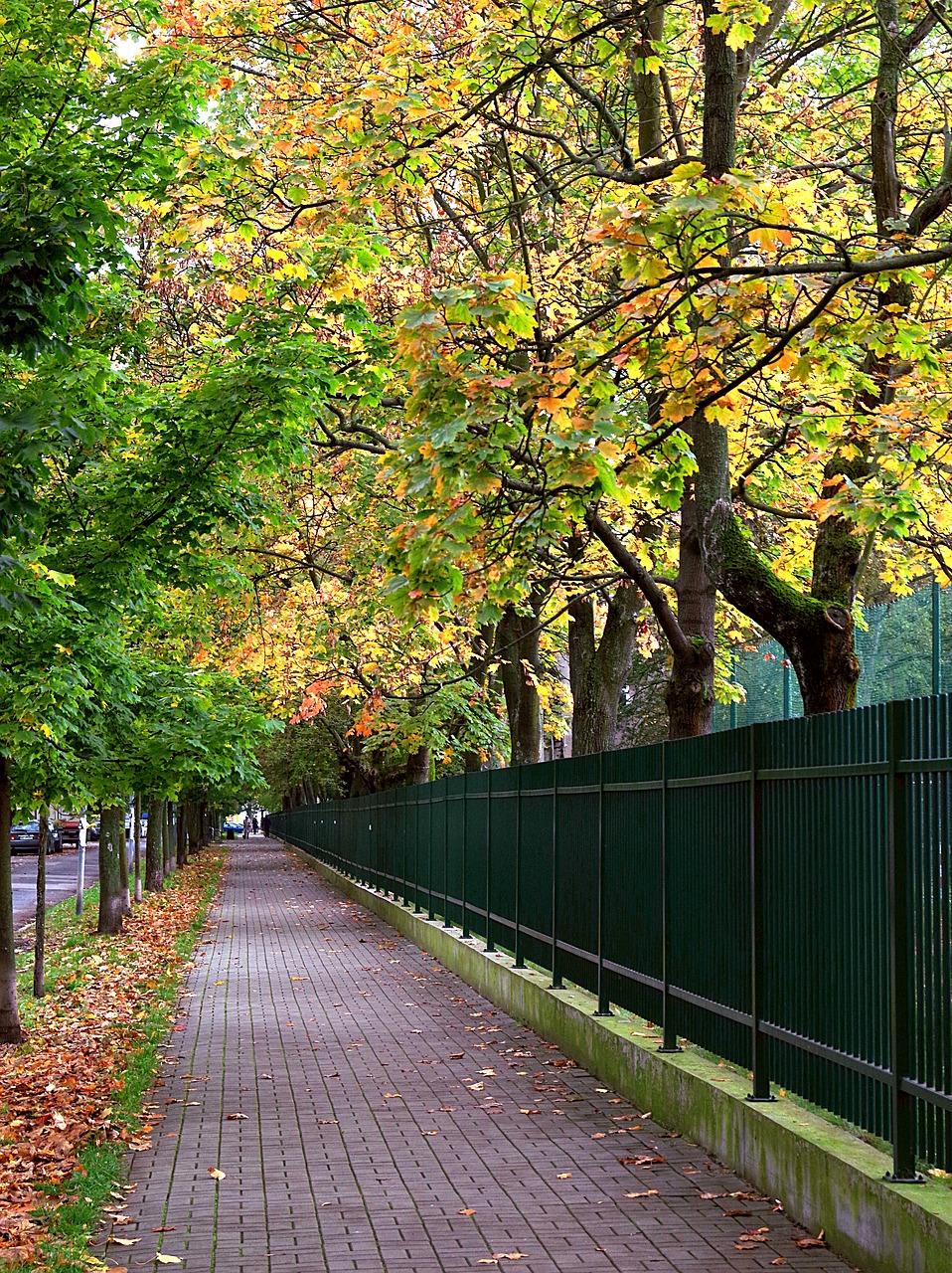 alley park autumn free photo