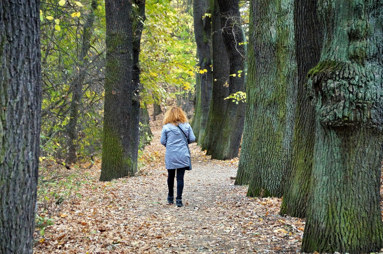 alley  fallen  leaves free photo