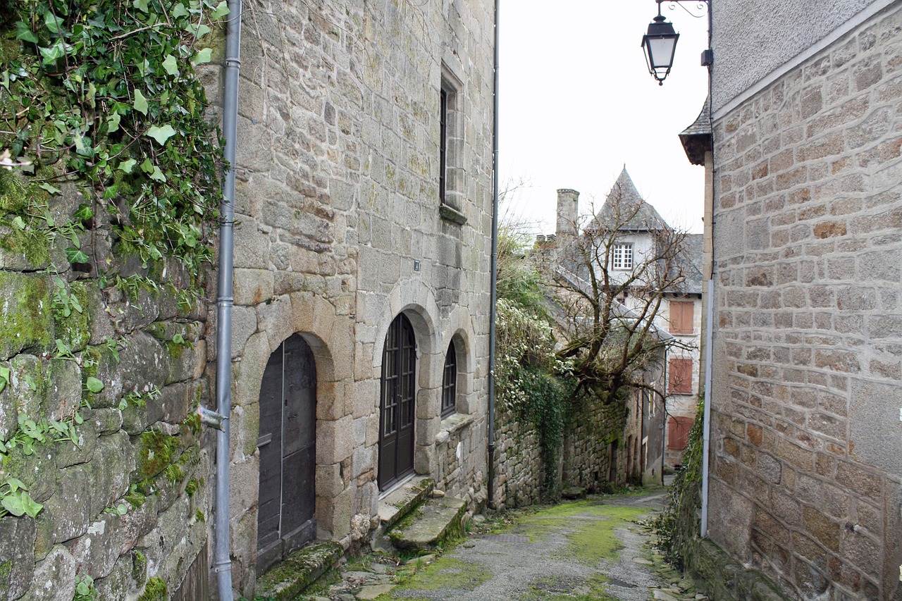 alleyway mossy walkway ivy clad free photo