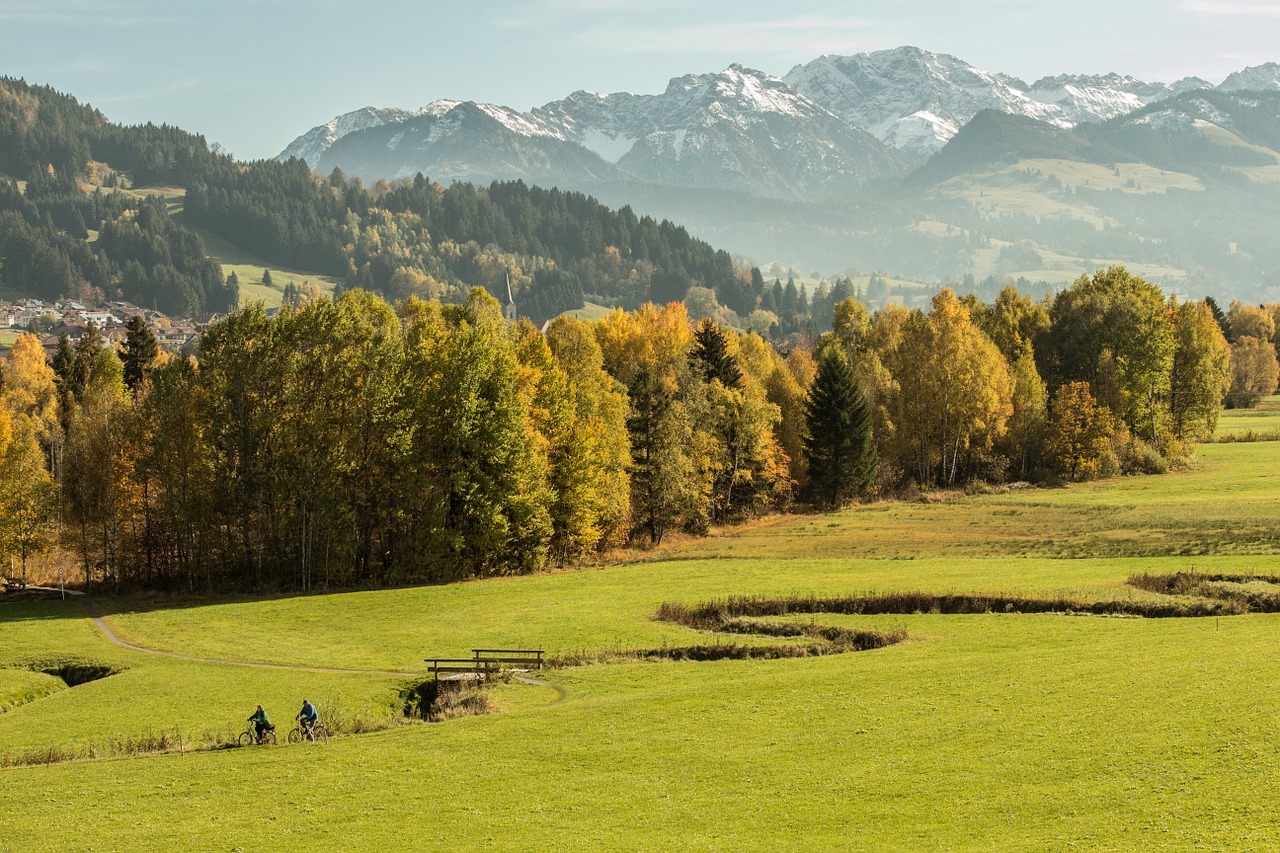 allgäu forest meadow free photo