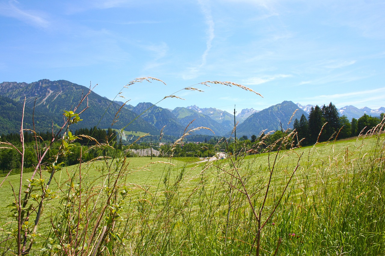 allgäu bavaria oberstdorf free photo