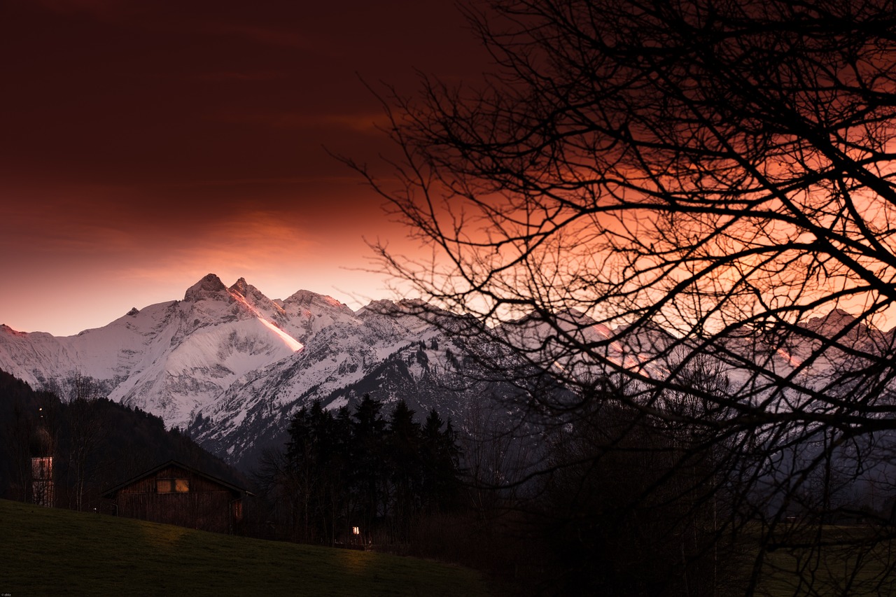 allgäu autumn forest free photo