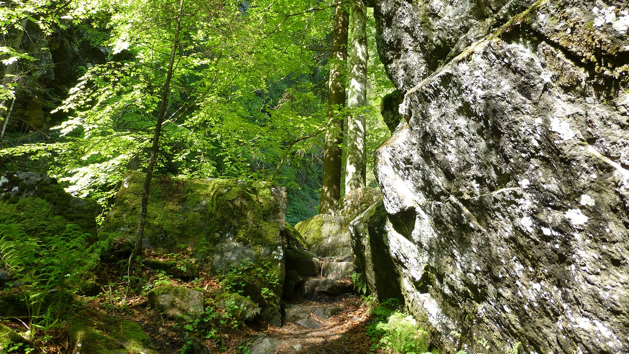 allgäu pfronten kappel hoellschlucht free photo