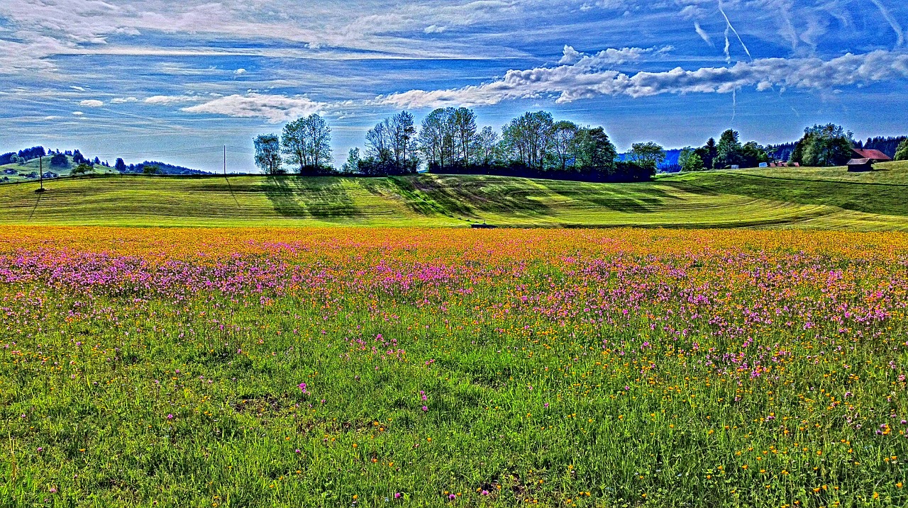 allgäu mountains landscape free photo