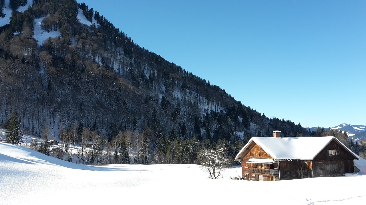 allgäu winter cold free photo