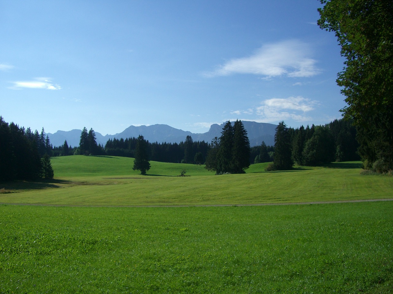allgäu mountain panorama meadow free photo