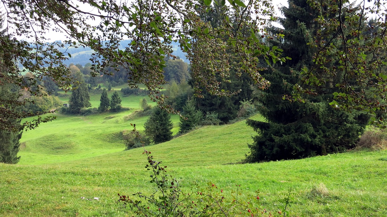 allgäu landscape rettenberg free photo