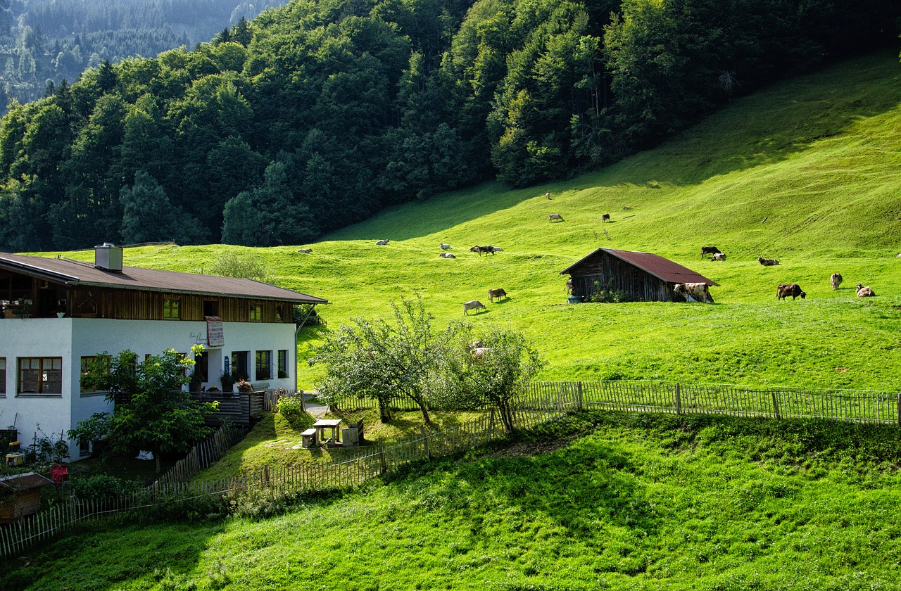 allgäu oberstdorf mountains free photo