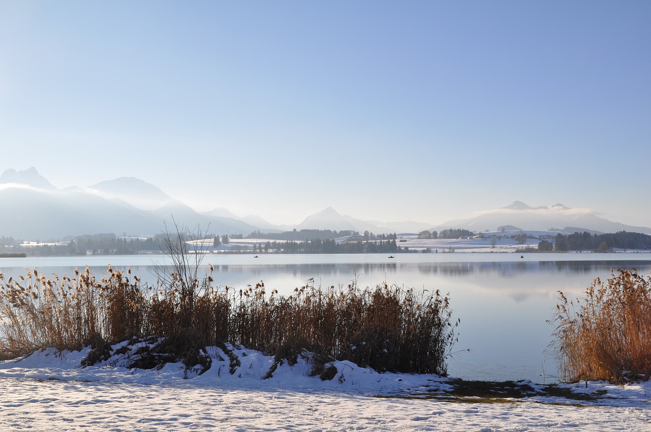 allgäu lake winter free photo