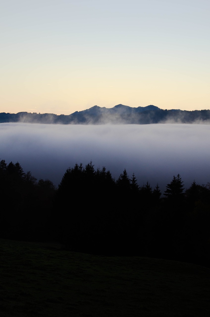 allgäu fog morning free photo