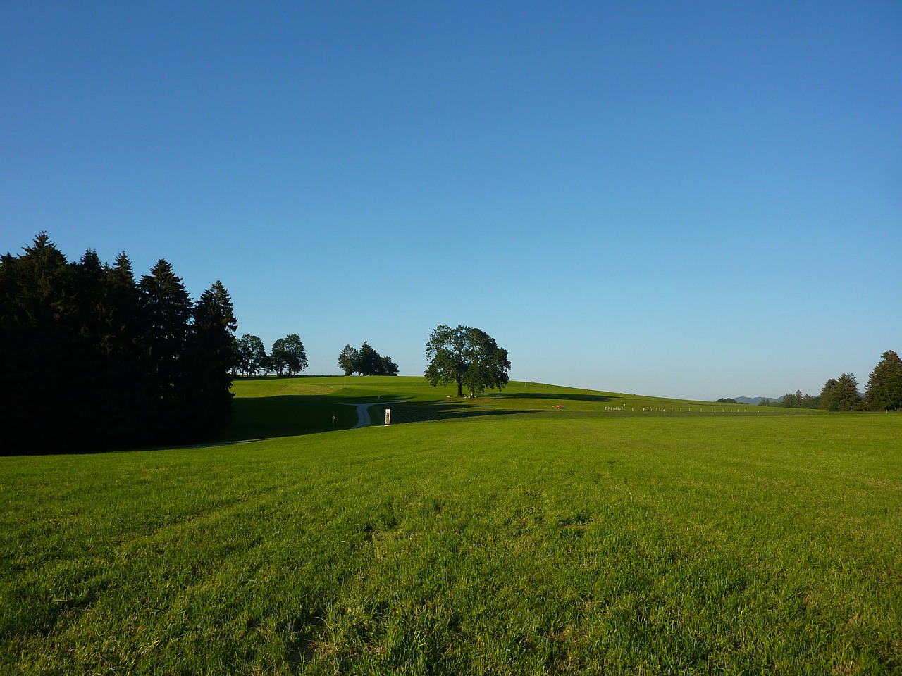 allgäu m farms gestratz free photo