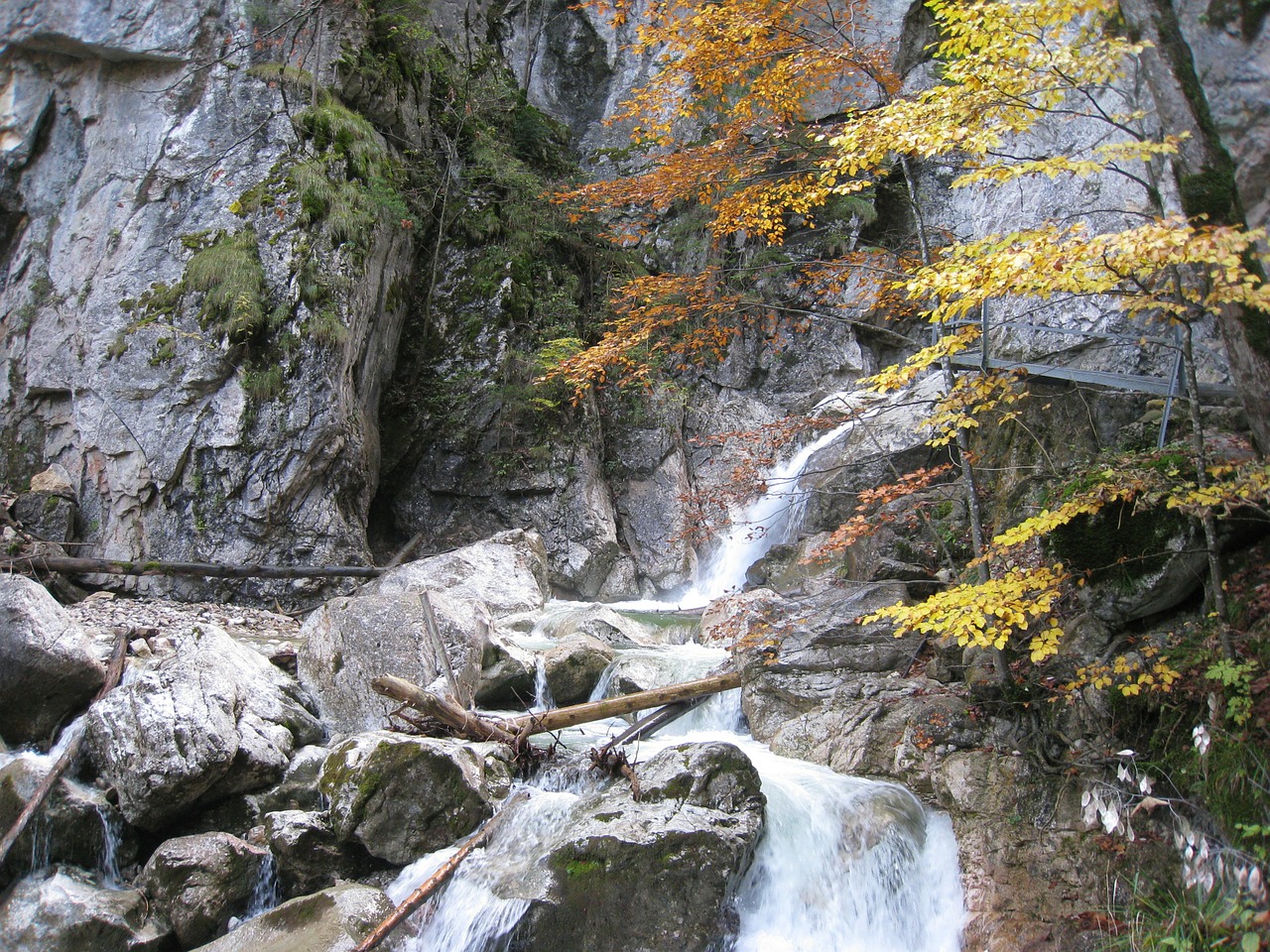 allgäu füssen schwangau free photo