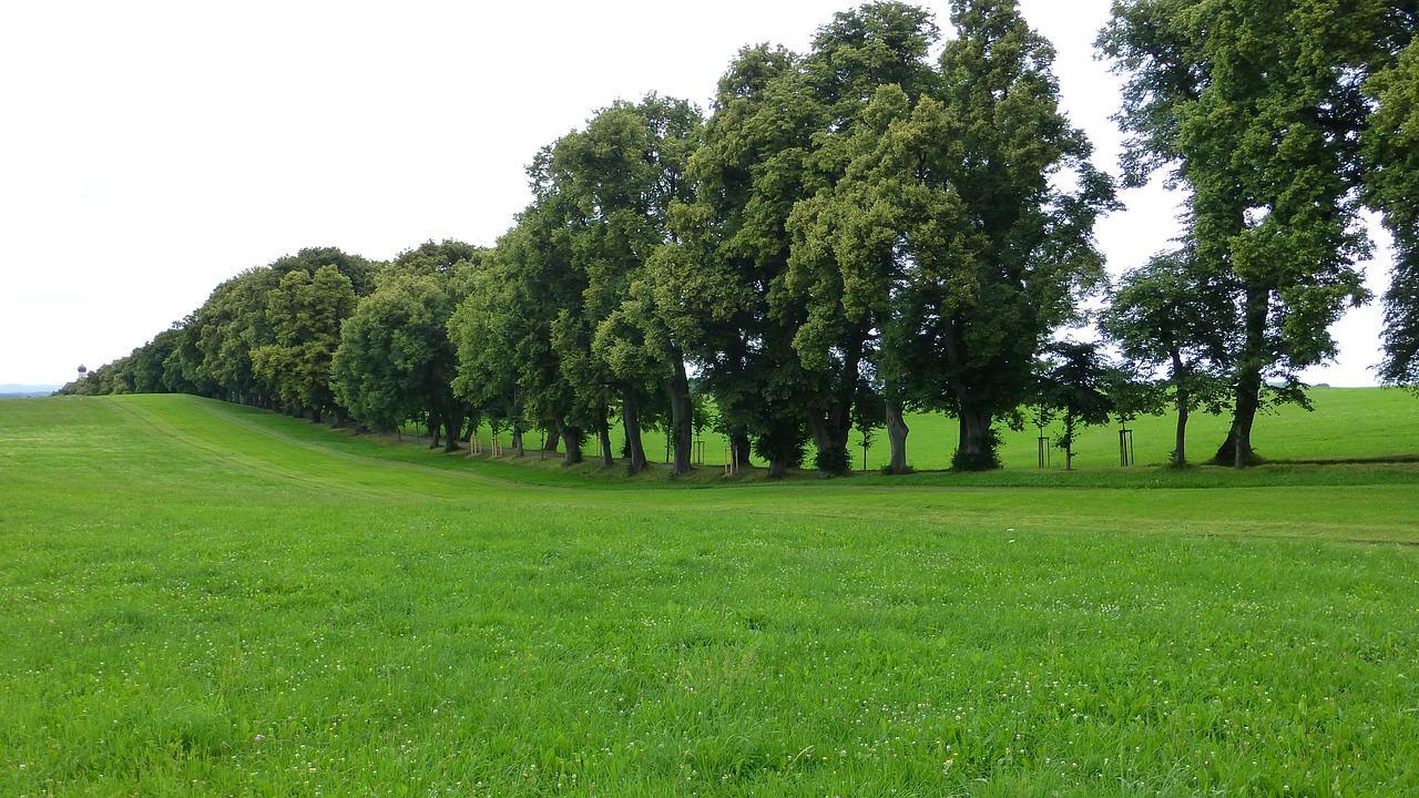 allgäu marktoberdorf avenue free photo