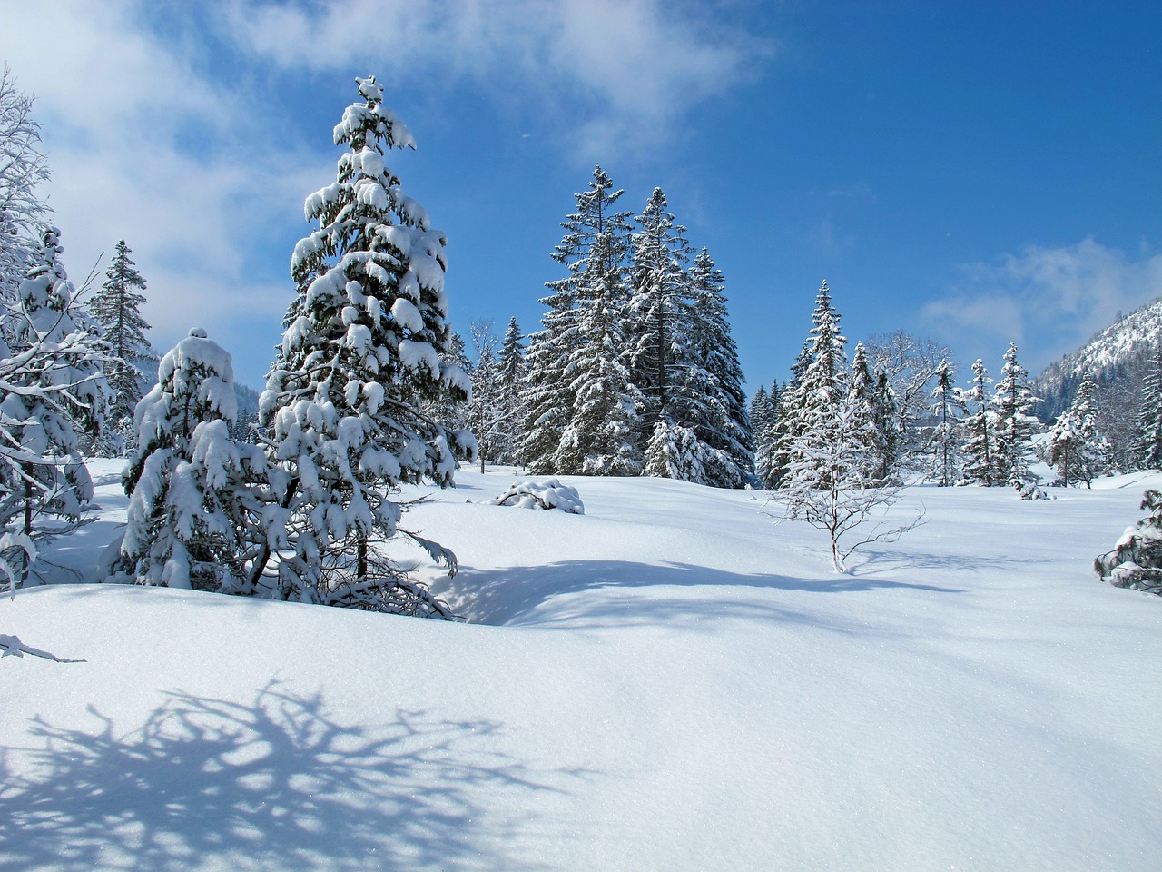 allgäu winter landscape free photo