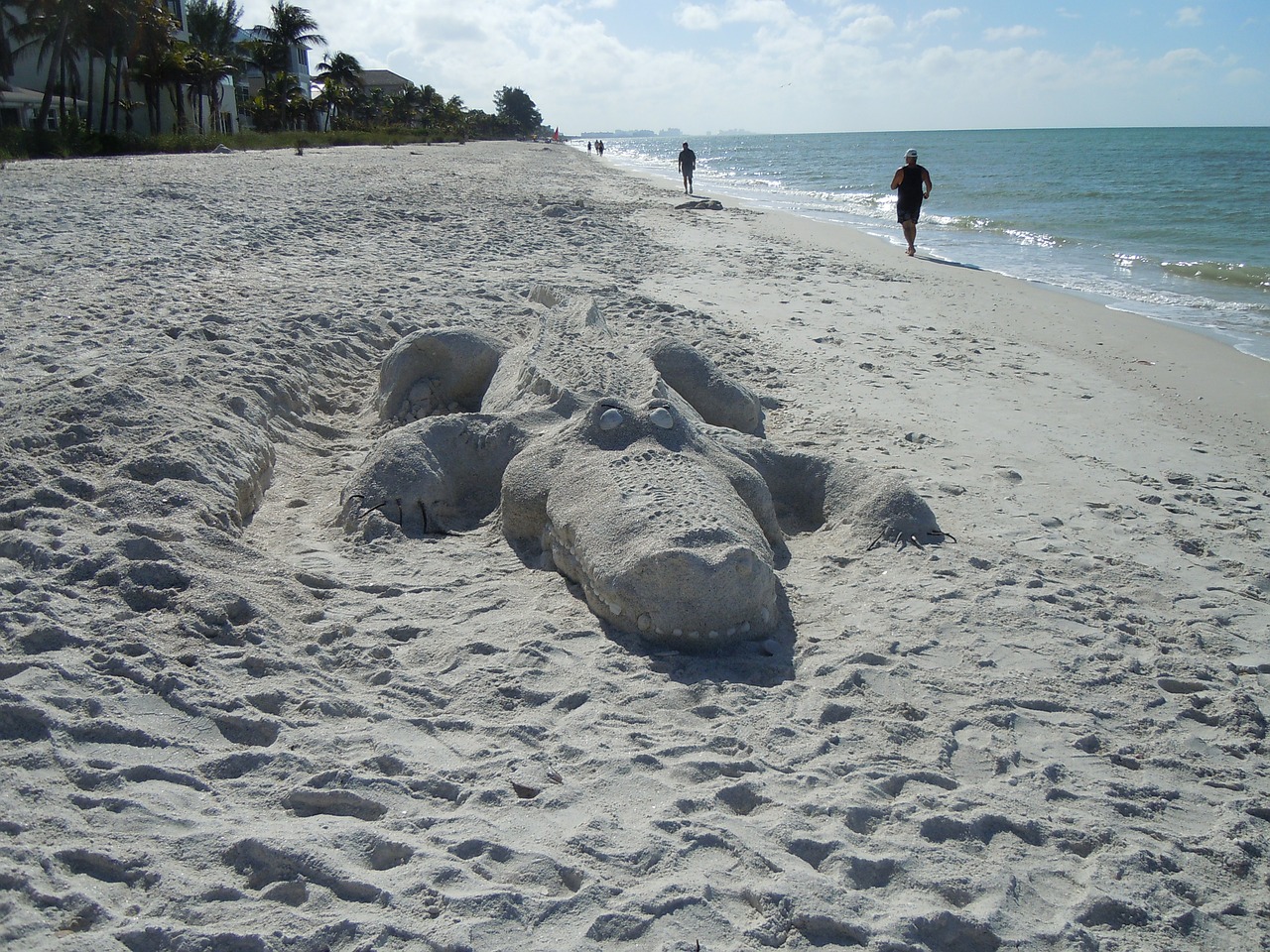 alligator beach sand sculpture free photo