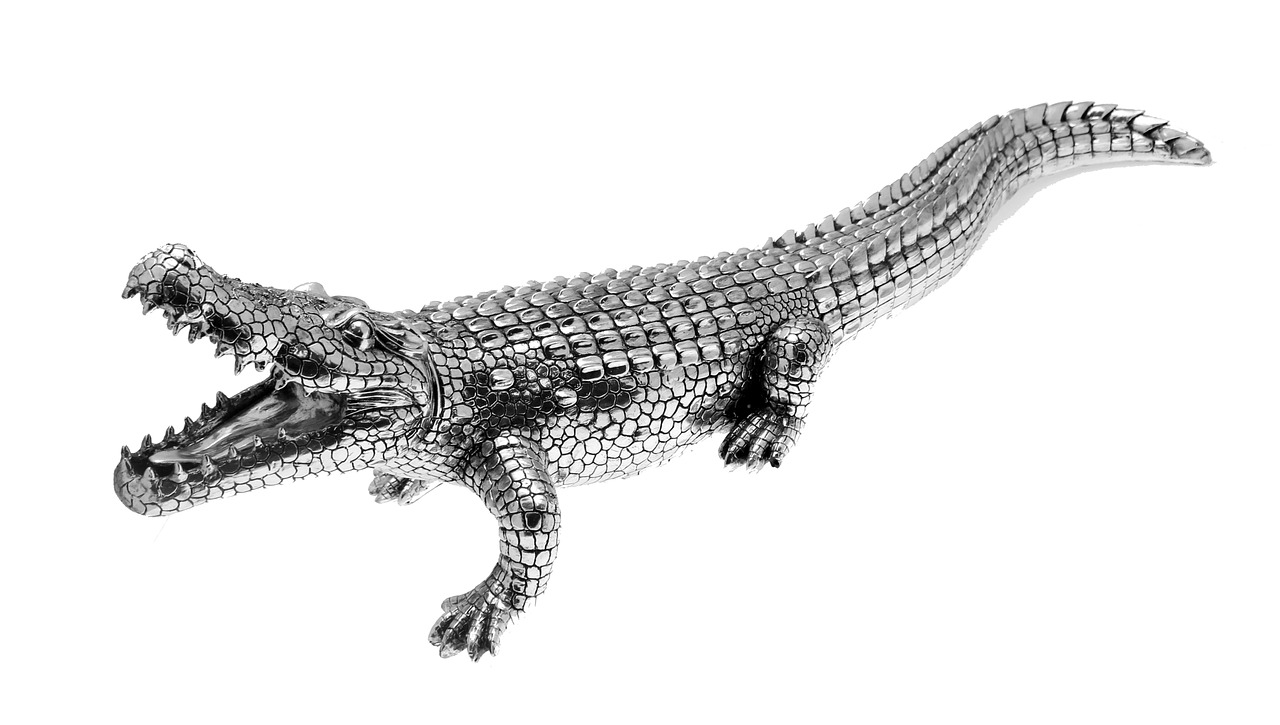 alligator crocodile silver free photo