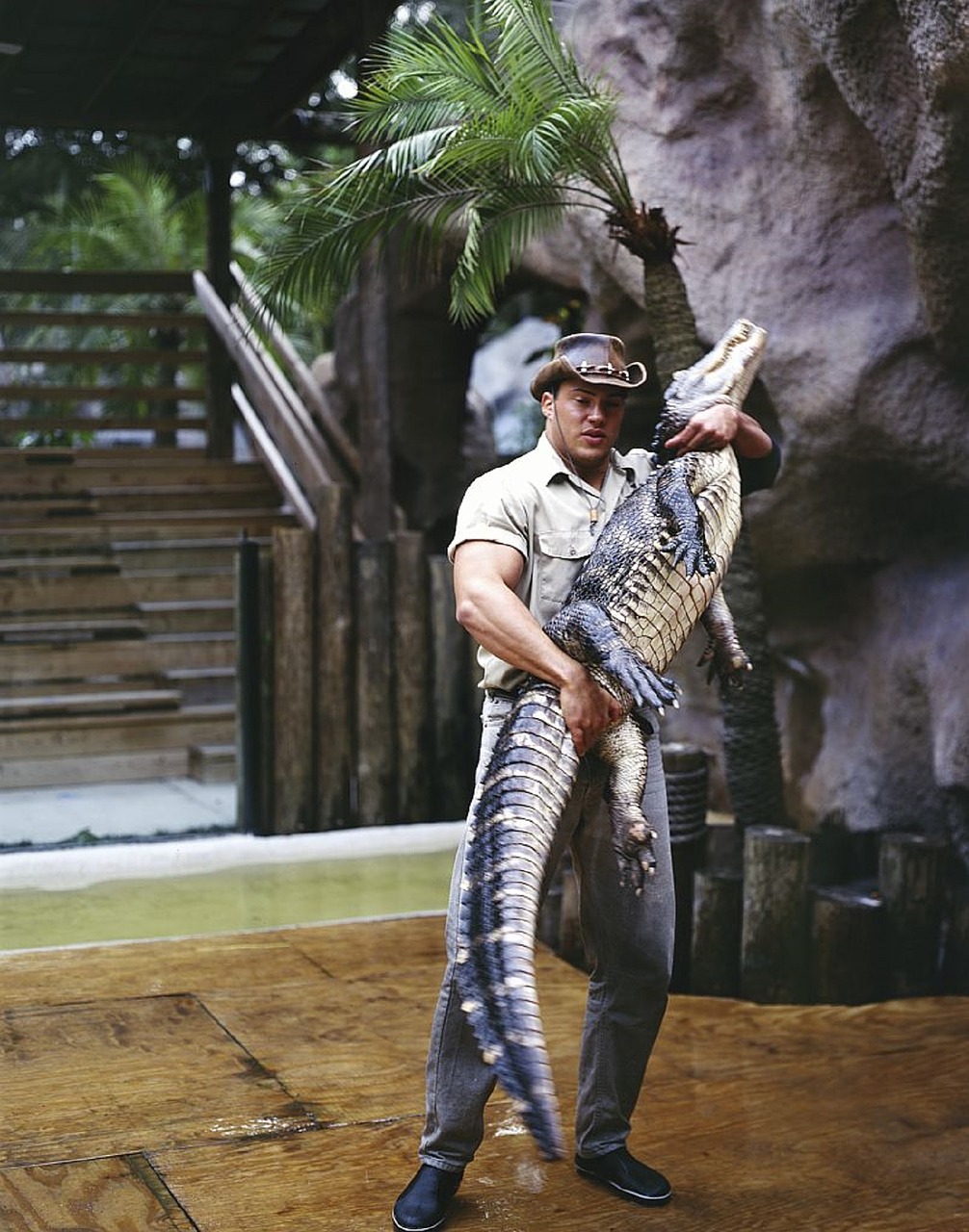 alligator wrestler man dangerous free photo