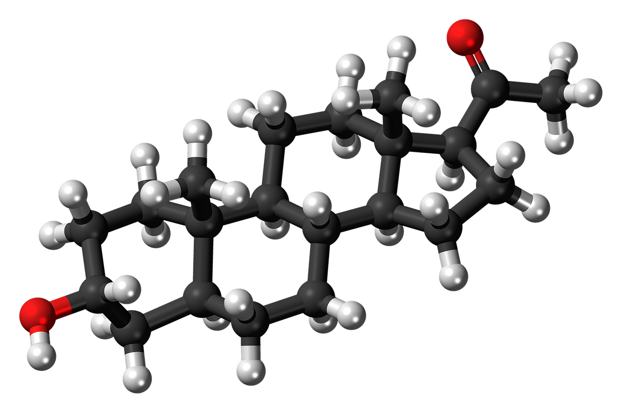 allopregnanolone molecule model free photo