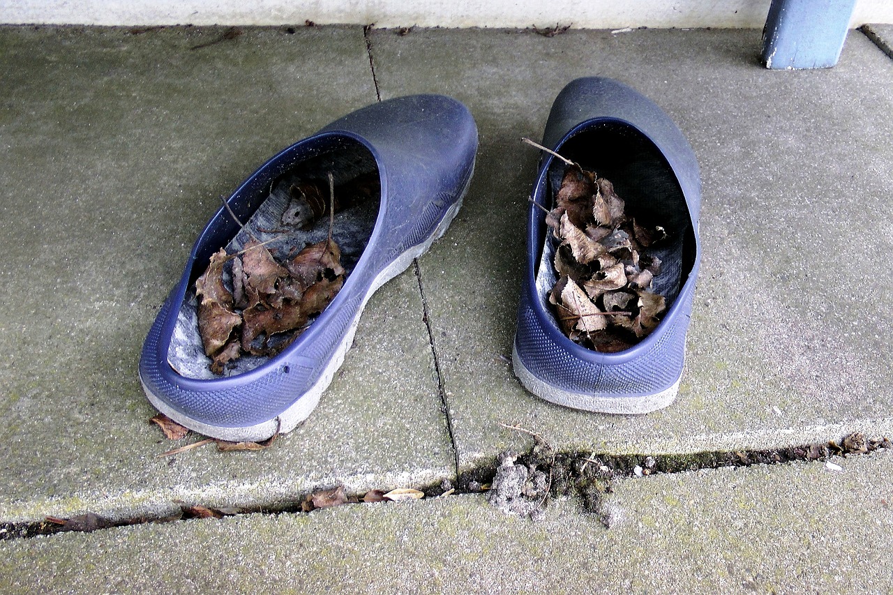 allotment garden shoes blue free photo