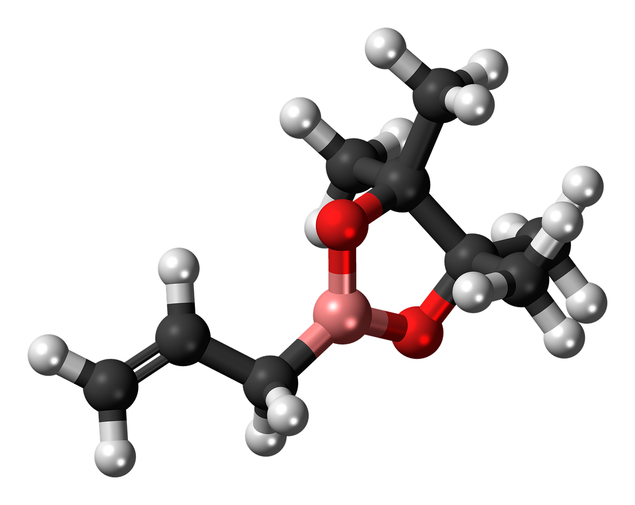 allylboronic acid pinacol ester free photo