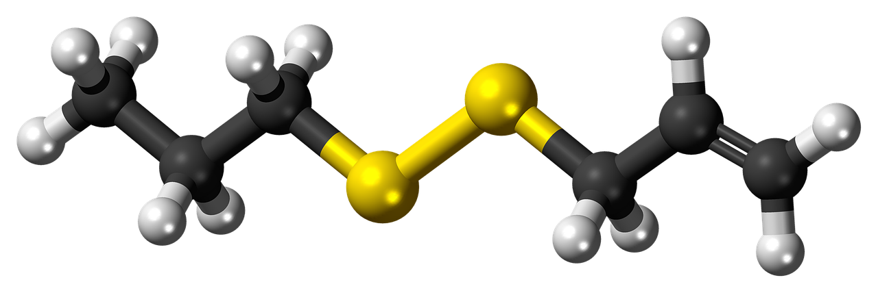 allylpropyldisulfide molecule model free photo