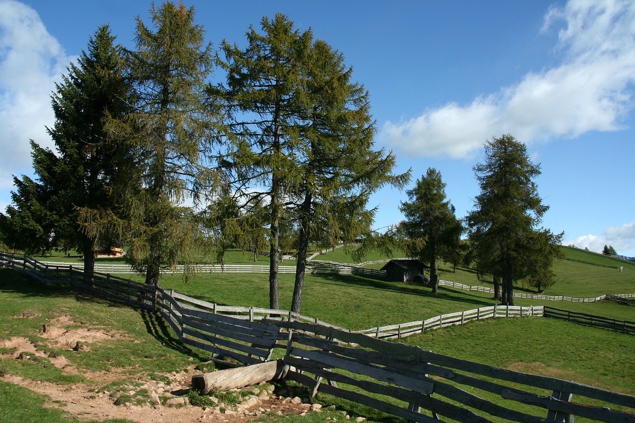 alm pasture tyrol free photo