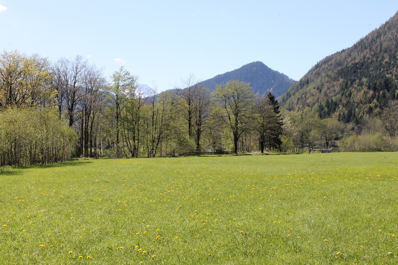 alm meadow mountains free photo