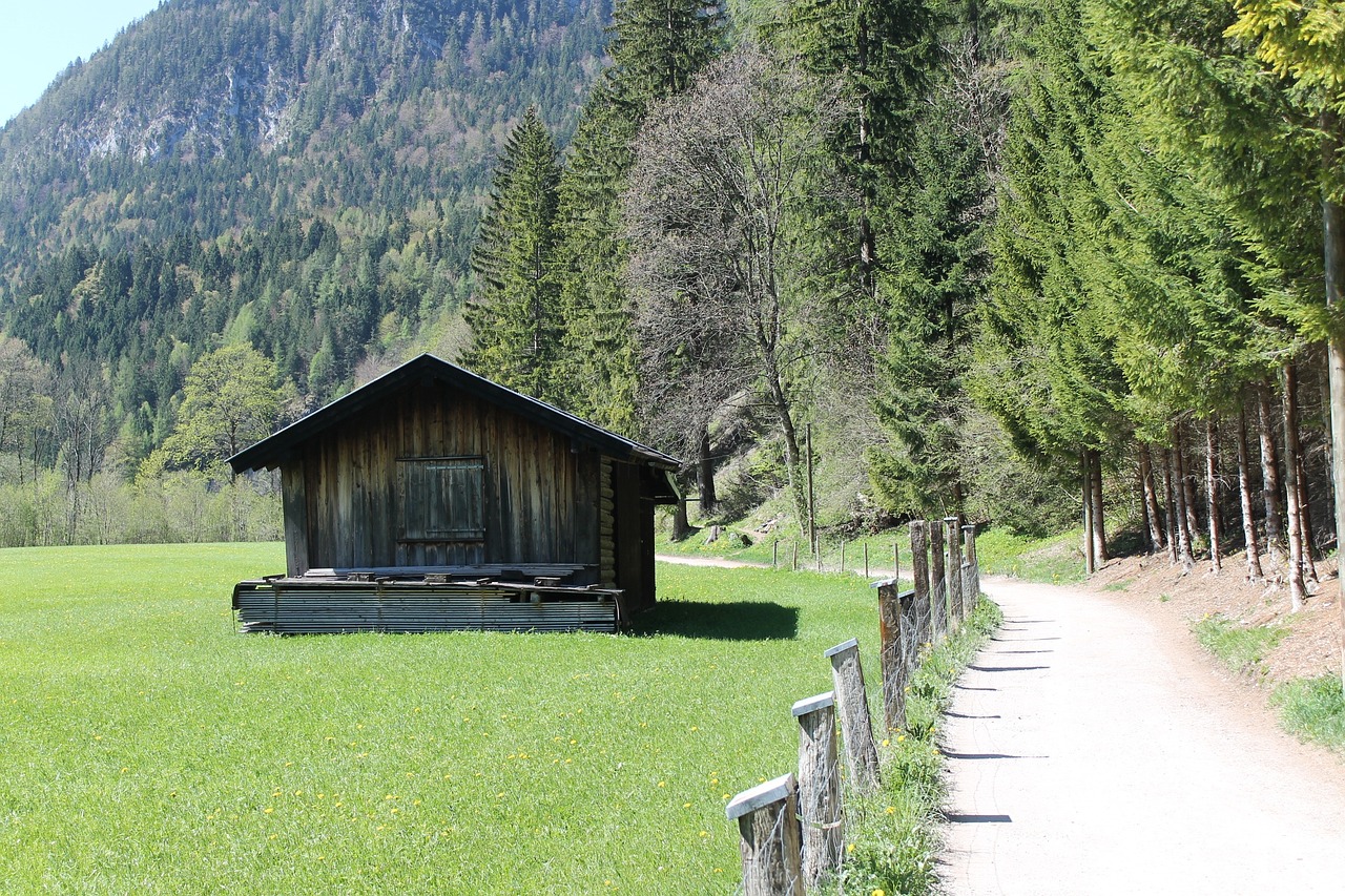 alm meadow mountains free photo