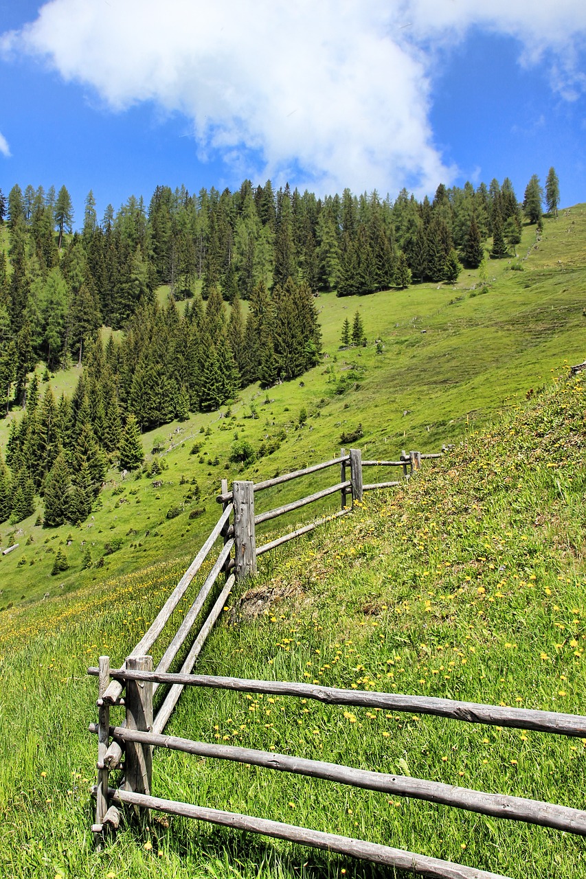 alm fence mountain free photo