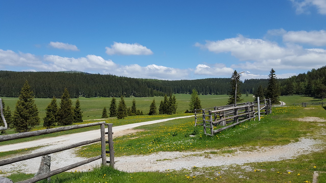 alm meadow landscape free photo