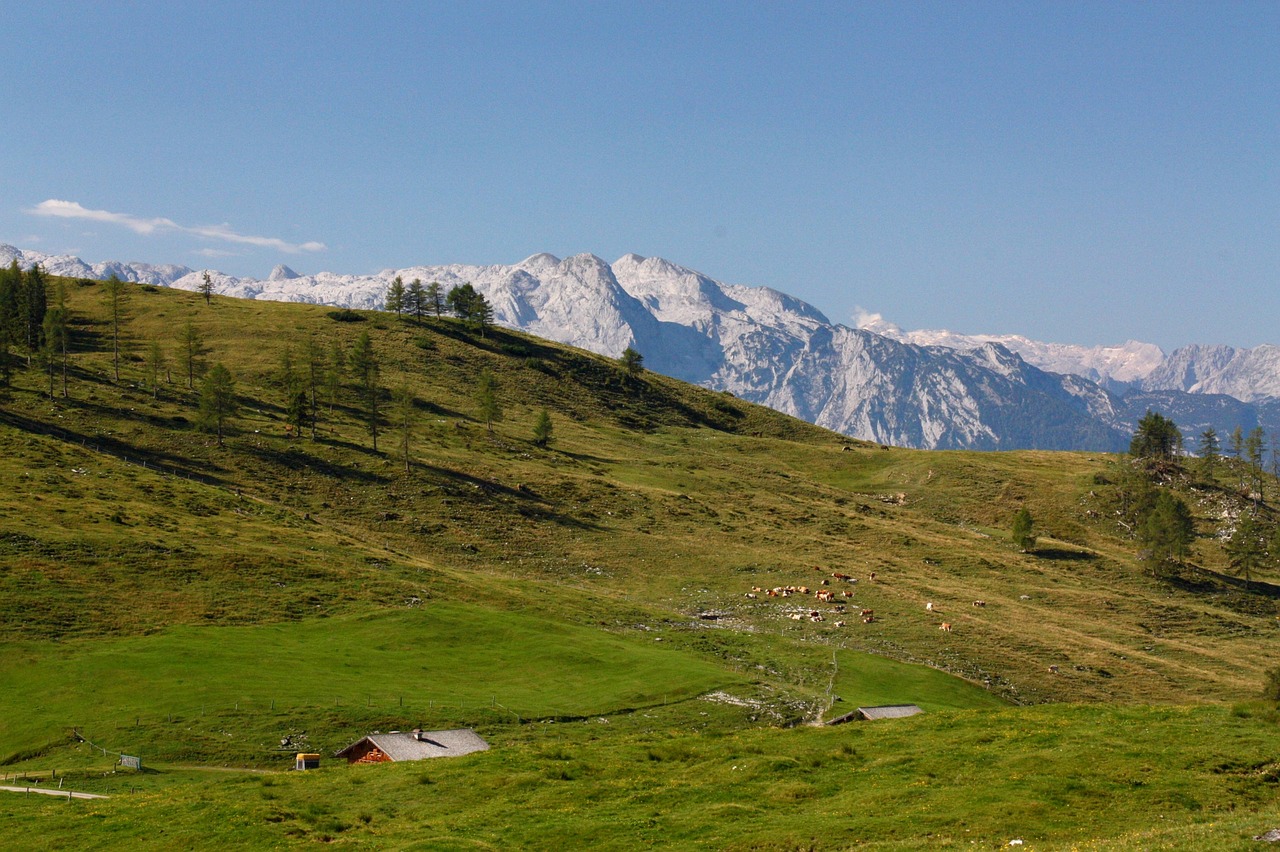 alm  mountains  alpine free photo