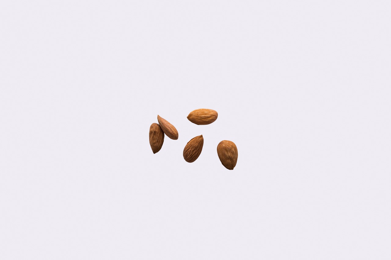 almond nuts kernel free photo