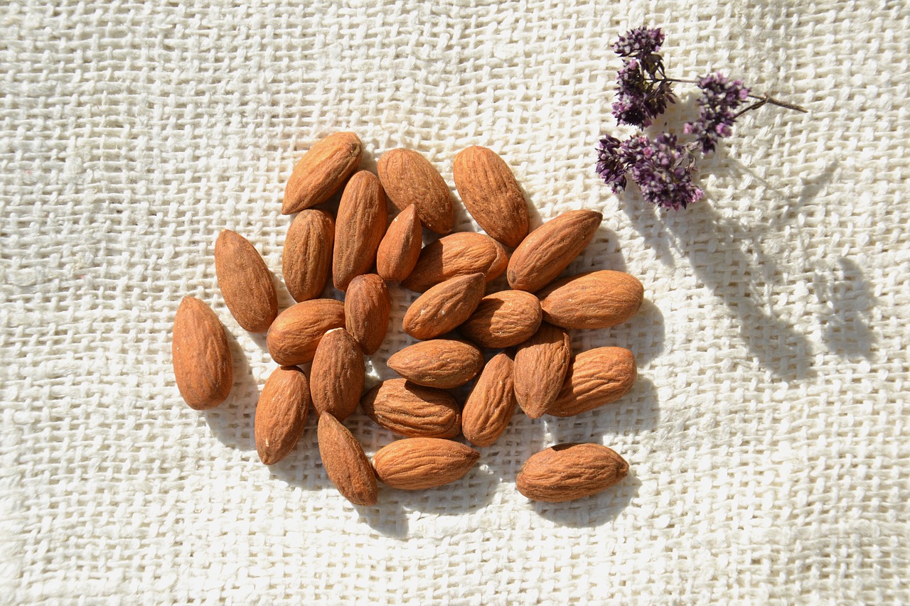 almond nuts kernel free photo