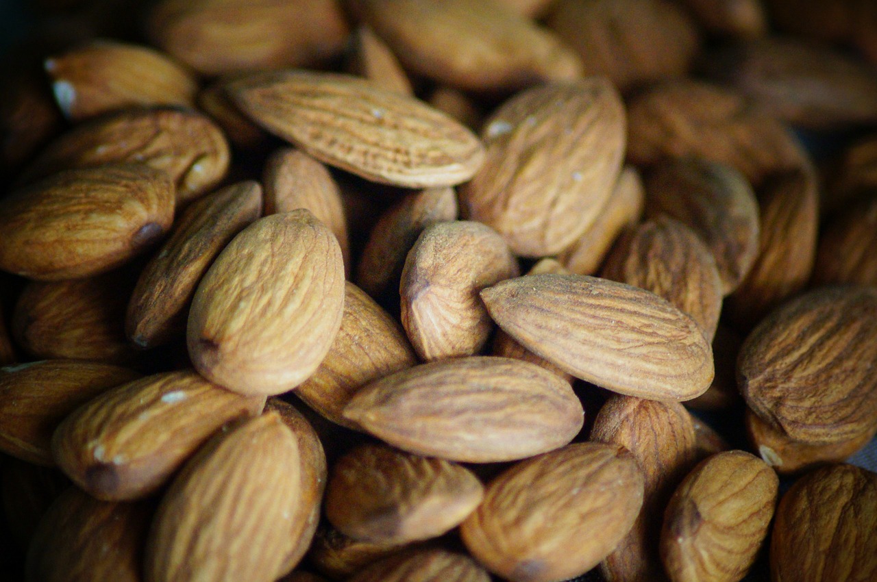 almond nuts food free photo