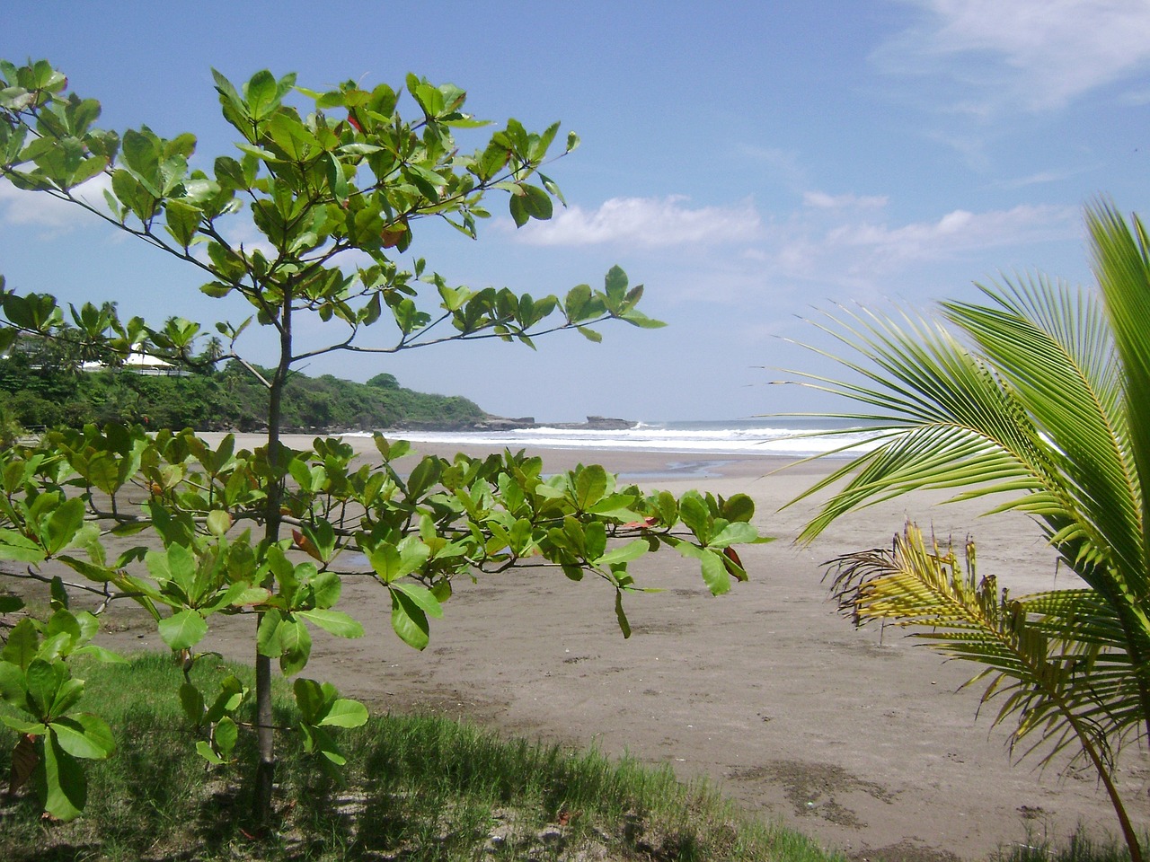 almond beach horizon free photo