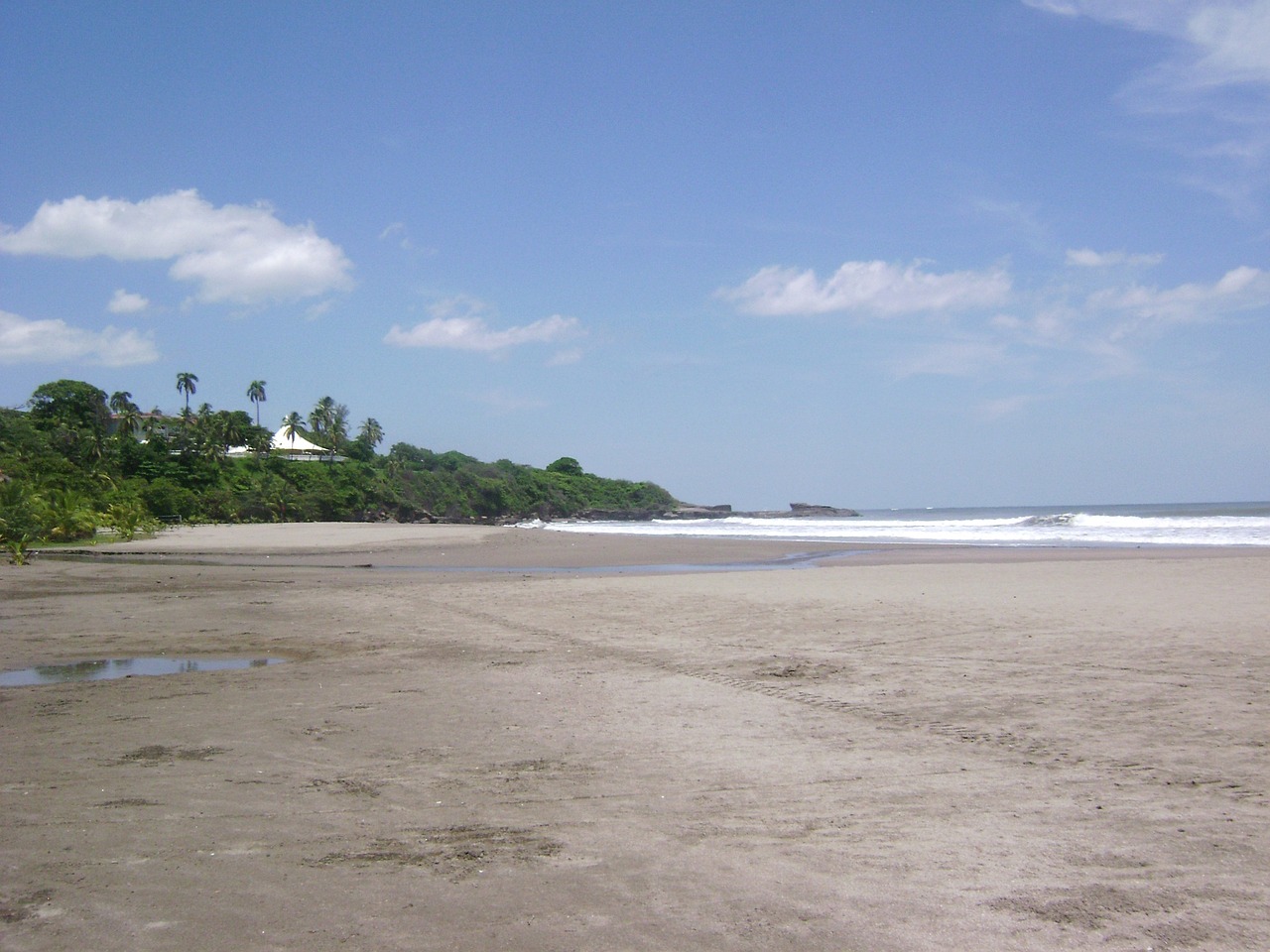 almond beach horizon free photo