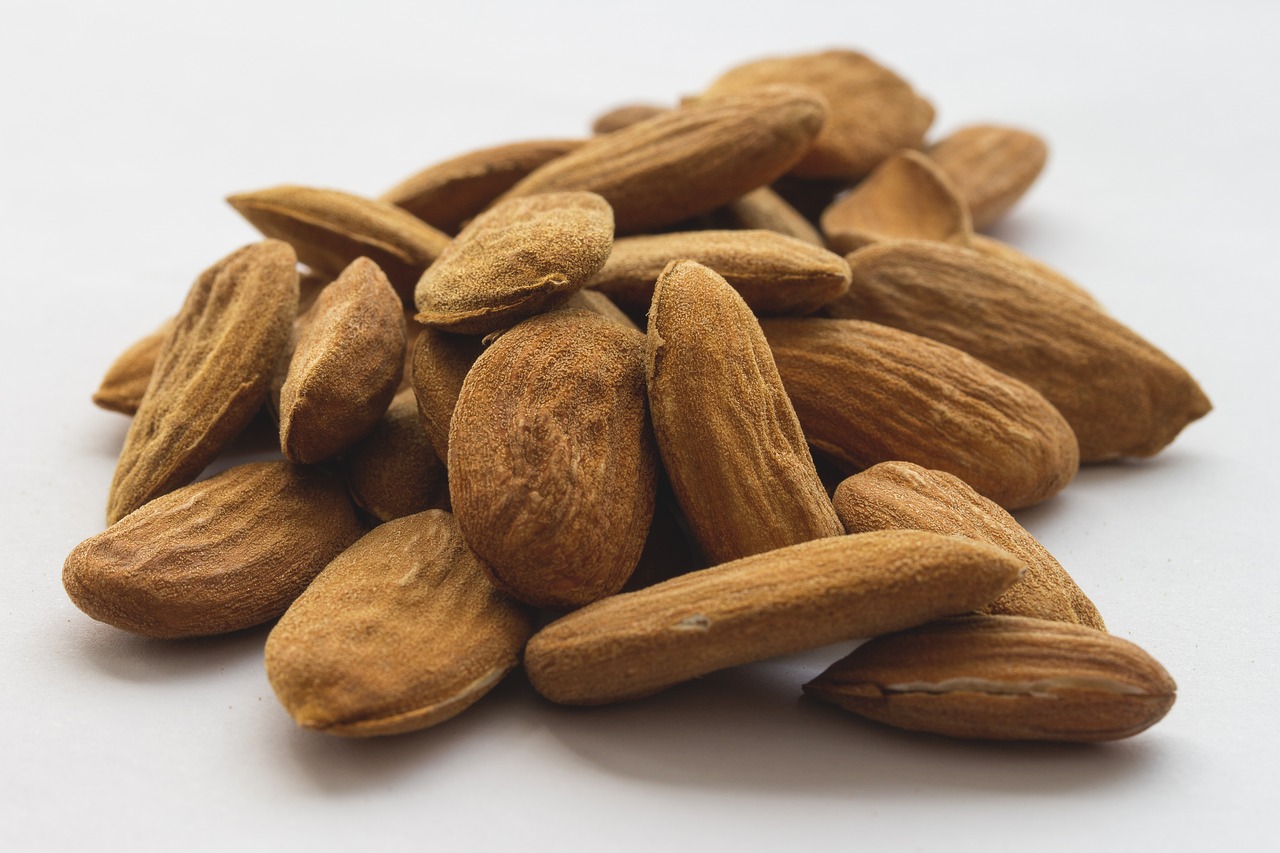 almond stone seeds free photo