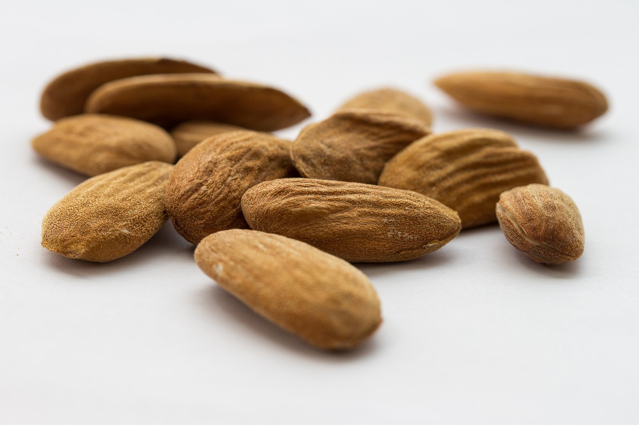 almond stone seeds free photo